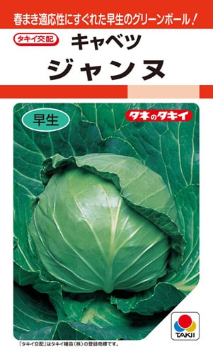 タキイ種苗 キャベツ種子 ジャンヌ[ACA087]【取り寄せ注文】【2026年春種予約商品】