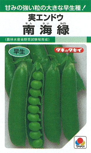 タキイ種苗 エンドウ種子 南海緑 実エンドウ[AEN130]【取り寄せ注文】