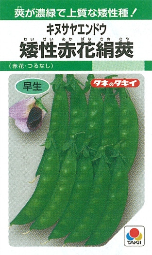 タキイ種苗　エンドウ種子　矮性赤花絹莢　キヌサヤエンドウ[AEN111]【取り寄せ注文】