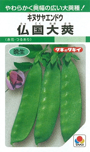 タキイ種苗 エンドウ種子 仏国大莢 キヌサヤエンドウ[AEN101]【取り寄せ注文】