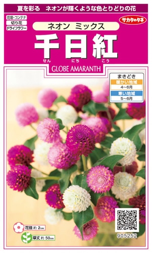 サカタのタネ 実咲350 千日紅 ネオンミックス 小袋[905252]【取り寄せ注文】※春のみ商品【2026年春種予約商品】 
