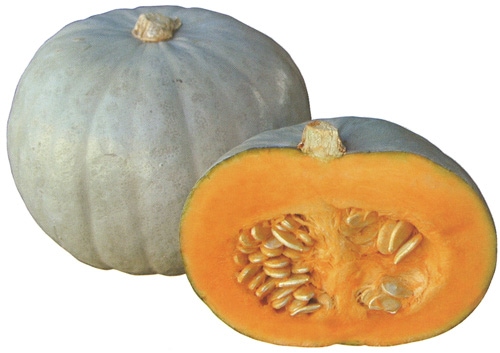 雪印種苗 カボチャ種子 つきみ【取り寄せ注文】