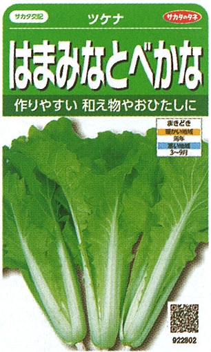サカタのタネ　ツケナ種子　はまみなとべかな【取り寄せ注文】