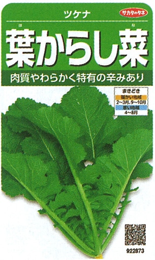 サカタのタネ　ツケナ種子　葉からし菜　実咲小袋[922873]【取り寄せ注文】