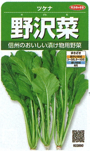 サカタのタネ　ツケナ種子　野沢菜　実咲小袋[922880]【取り寄せ注文】＊種子有効期限2026年5月末
