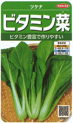 サカタのタネ　ツケナ種子　ビタミン菜　実咲小袋[922881]【取り寄せ注文】