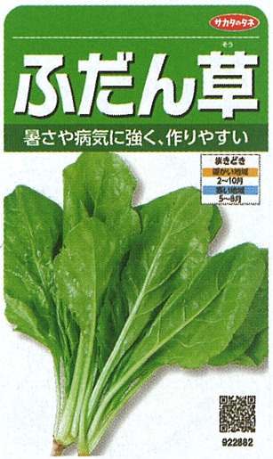 サカタのタネ 葉菜 ふだん草 実咲小袋[922882]【取り寄せ注文】※通年商品＊種子有効期限2026年5月末