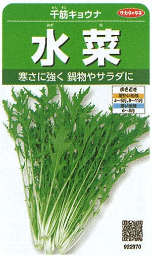 サカタのタネ ミズナ種子 千筋キョウナ 実咲小袋[922970]【取り寄せ注文】※通年商品