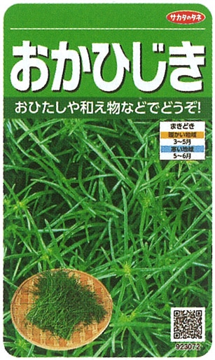 サカタ 葉菜 おかひじき 実咲小袋 23春新種予約 入替に伴い規格が変更する場合がございます 葉菜類 葉菜 小林種苗株式会社