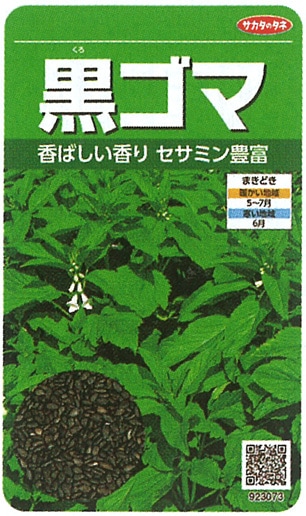 サカタのタネ ゴマ種子 黒ゴマ 実咲小袋[923073]【取り寄せ注文】※春のみの商品【2026年春種予約商品】