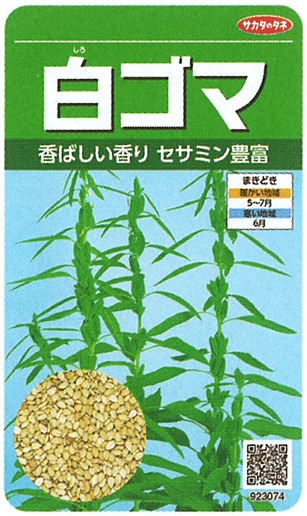 サカタのタネ ゴマ種子 白ゴマ 実咲小袋[923074]【取り寄せ注文】※春のみの商品【2026年春種予約商品】
