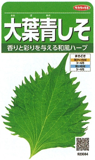 サカタのタネ シソ種子 大葉青しそ 実咲小袋[923084]【取り寄せ注文】※春のみの商品【2026年春種予約商品】