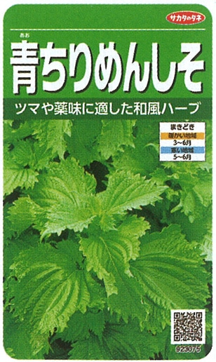 サカタのタネ シソ種子 青ちりめんしそ 実咲小袋[923075]【取り寄せ注文】※春のみの商品*【2026年春種予約商品】