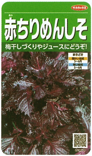 サカタのタネ シソ種子 赤ちりめんしそ 実咲小袋[923076]【取り寄せ注文】※春のみの商品【2026年春種予約商品】