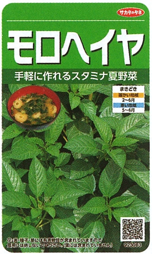サカタのタネ 葉菜 モロヘイヤ 実咲小袋[923083]【取り寄せ注文】※春のみの商品