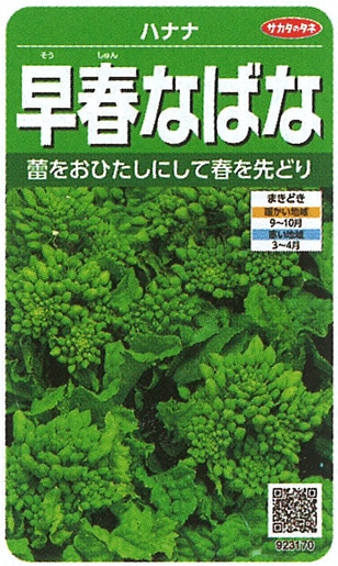 サカタのタネ　ハナナ種子　早春なばな　実咲小袋[923170]【取り寄せ注文】