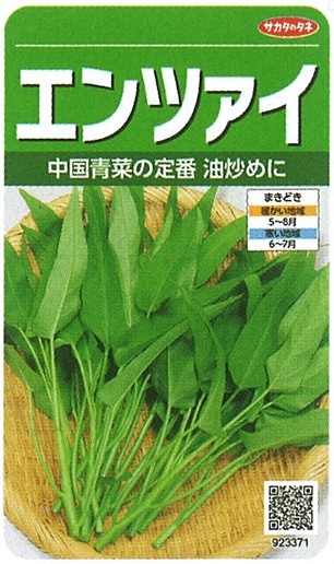 サカタのタネ 葉菜 エンツァイ 実咲小袋(923371)【取り寄せ注文】※通年商品