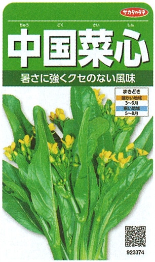 サカタのタネ 葉菜 中国菜心 実咲小袋[923374]【取り寄せ注文】※通年商品
