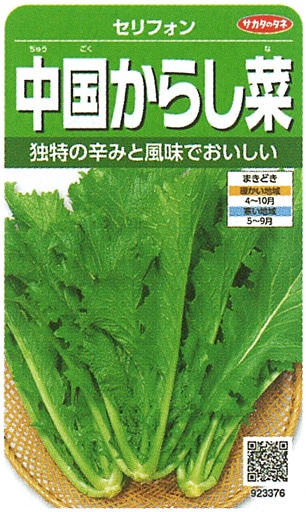 サカタのタネ 葉菜 中国からし菜 セリフォン 実咲小袋(923376)※通年