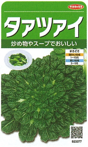 サカタのタネ 葉菜 タァツァイ 実咲小袋[923377]【取り寄せ注文】※通年商品