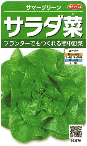 サカタのタネ レタス種子 サラダ菜 サマーグリーン 実咲小袋[923670