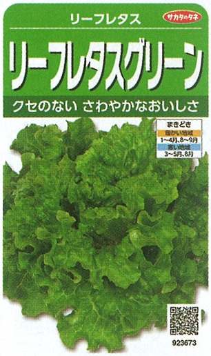 レタス 【パスポート】 種 タネ SEED ※海外持ち出し禁止 サカタのタネ レタス種子 リーフレタスグリーン 実咲小袋[923673