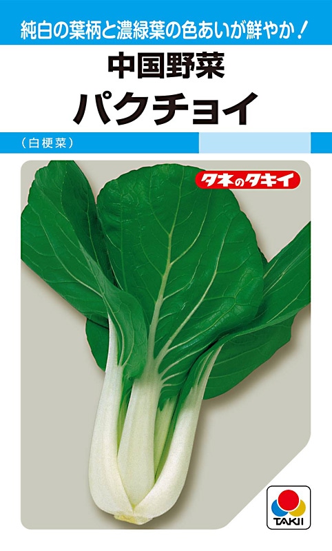 タキイ種苗 中国野菜 パクチョイ[ATU815]【取り寄せ注文】※2026年4月末取り扱い中止予定