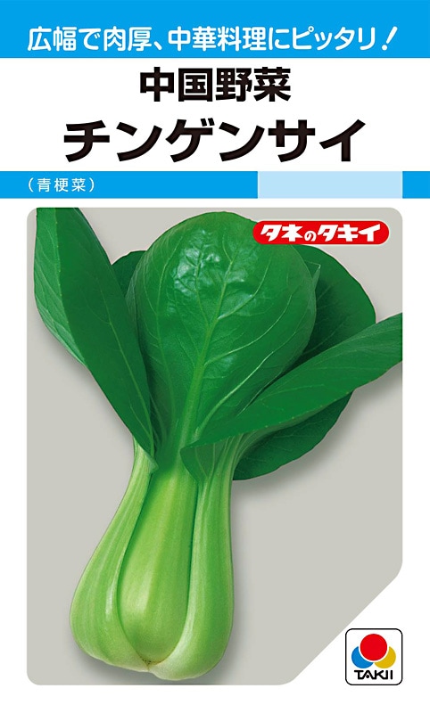 タキイ種苗 中国野菜 チンゲンサイ[ATU823]【取り寄せ注文】