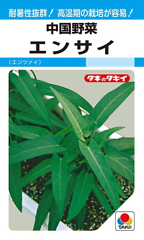 タキイ種苗 中国野菜 エンサイ[ATY581]【取り寄せ注文】＊種子有効期限2026年4月末※2026春品薄商品 