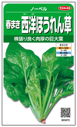 サカタのタネ ホウレンソウ種子 ノーベル 実咲小袋[923472]【取り寄せ注文】※春のみの商品【2026年春種予約商品】