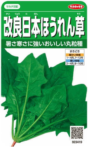 サカタのタネ　ホウレンソウ種子　改良日本ほうれん草　実咲小袋[923419]【取り寄せ注文】 【2026年春種予約商品】