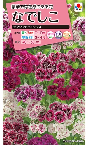 タキイ NL300　なでしこ　ケンジントンミックス　小袋[FNDA25]【取り寄せ注文】※秋のみ商品