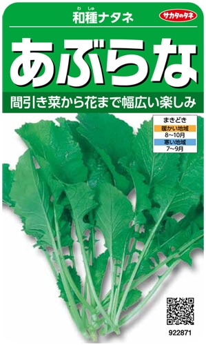 サカタのタネ 葉菜 あぶらな 和種ナタネ 実咲小袋[922871]【取り寄せ注文】＊秋のみ商品