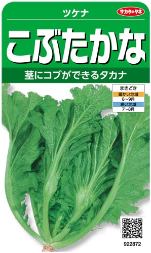 サカタのタネ　ツケナ種子　こぶたかな　実咲小袋[922872］【取り寄せ注文】＊秋のみ商品