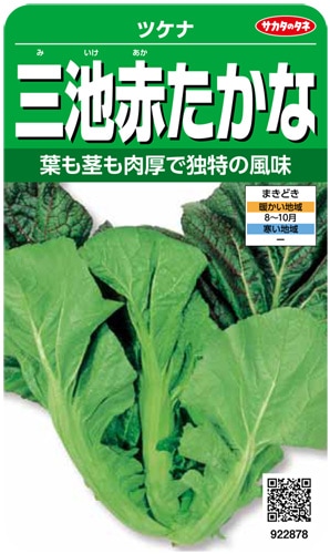 サカタのタネ　ツケナ種子　三池赤たかな　実咲小袋[922878]【取り寄せ注文】＊秋のみ商品