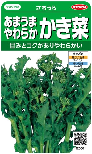 サカタのタネ あまうまやわらかかき菜 さちうら 実咲小袋[923001]【取り寄せ注文】※秋のみ商品＊種子有効期限2026年5月末