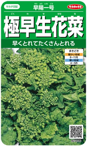 サカタのタネ ハナナ種子 極早生花菜 早陽一号【取り寄せ注文】※秋のみ商品