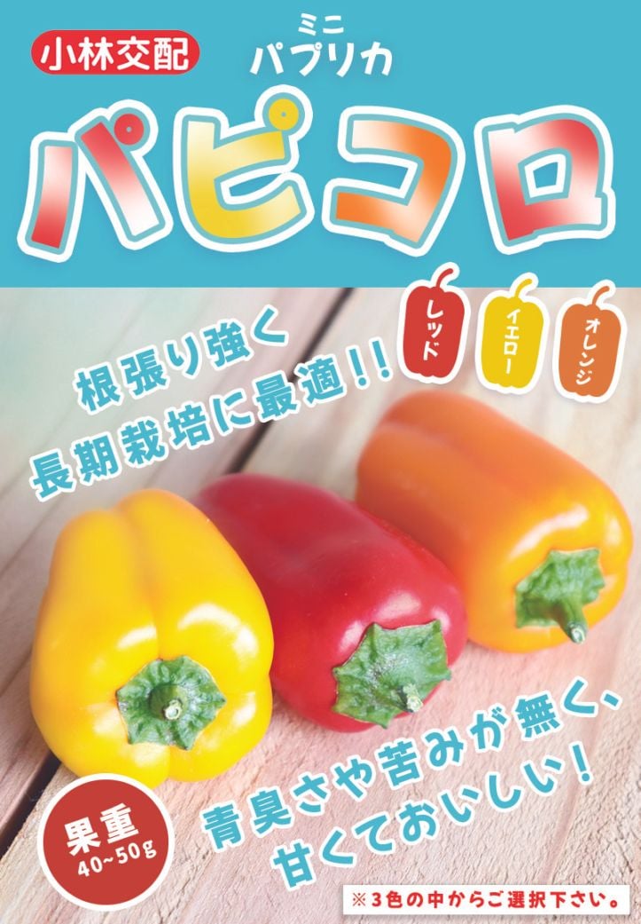 小林種苗 パプリカ種子 パピコロ ミニパプリカ(赤･黄･オレンジ)