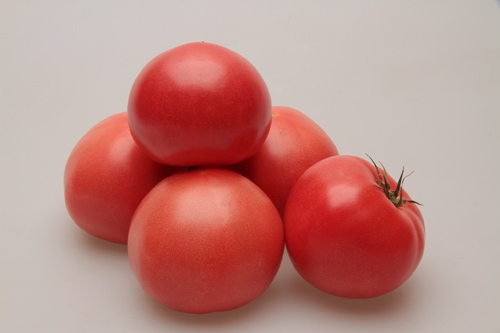 カネコ種苗　トマト種子　TY秀福【取り寄せ注文】