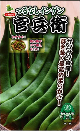 小林種苗　インゲン種子　官兵衛　つるなしインゲン＊種子有効期限2024年11月末