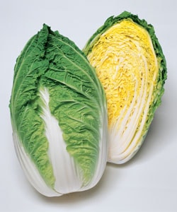 タキイ種苗　ハクサイ種子　晴舞台65 [AHA070]【取り寄せ注文】：品薄