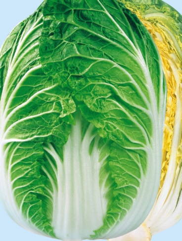 日本農林社　ハクサイ種子　春理想【取り寄せ注文】