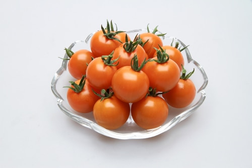 カネコ種苗 ミニトマト種子 オレンジパルチェ【取り寄せ注文】 ＊種子