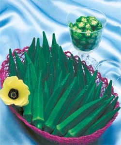 タキイ種苗 オクラ種子 グリーンソード [AOK008]【取り寄せ注文】※春