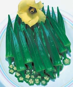 タキイ種苗 オクラ種子 アーリーファイブ[AOK001]【取り寄せ注文】※春のみ商品＊【2026年春種予約商品】