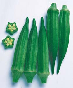 タキイ種苗 オクラ種子 ベターファイブ[AOK101]【取り寄せ注文】※春のみ商品【2026年春種予約商品】