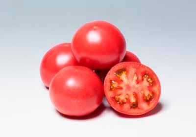 サカタのタネ トマト種子 麗月【取り寄せ注文】