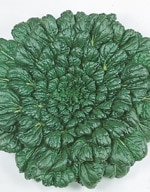 サカタのタネ タアサイ種子 緑彩二号【取り寄せ注文】＊種子有効期限2026年5月末