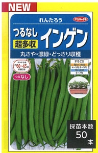 サカタのタネ　つるなしインゲン種子　れんたろう【取り寄せ注文】