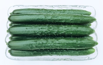 カネコ種苗　キュウリ種子　ほっきこう113【取り寄せ注文】